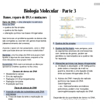 biologia molecular resumo