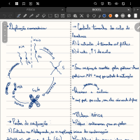 mitose e meiose