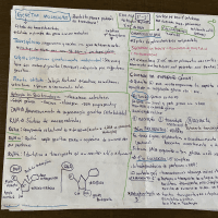 Prova genetica molecular