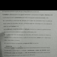 Prova 1 Biologia Celular
