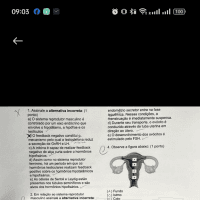 Prova 1