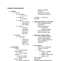 Sistema Cardiovascular