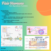 Preview do material