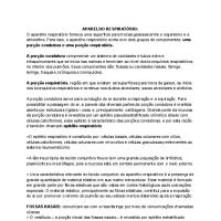 sistema respiratório