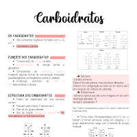 Carboidratos 2021