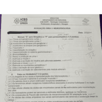 prova área 1