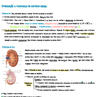 Fisiologia Renal 