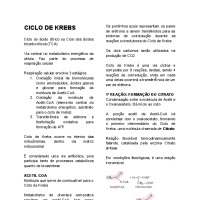 CICLO DE KREBS
