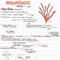 Resumo de macro e micro algas