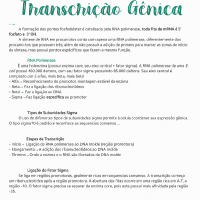 Resumo - Transcrição Gênica