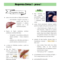 Preview do material