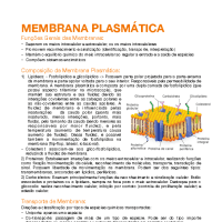 RESUMO MEMBRANA PLASMÁTICA