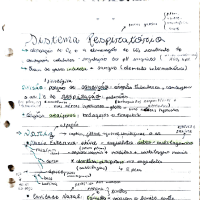 Sistema Respiratório