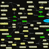 Mapa conceitual Membrana celular