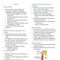 Sistema Muscular
