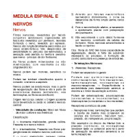 Resumo Medula