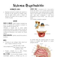 Anatomia Geral - Sistema Respiratório