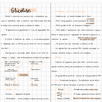 Preview do material