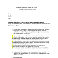 Prova de Fisiologia Vegetal